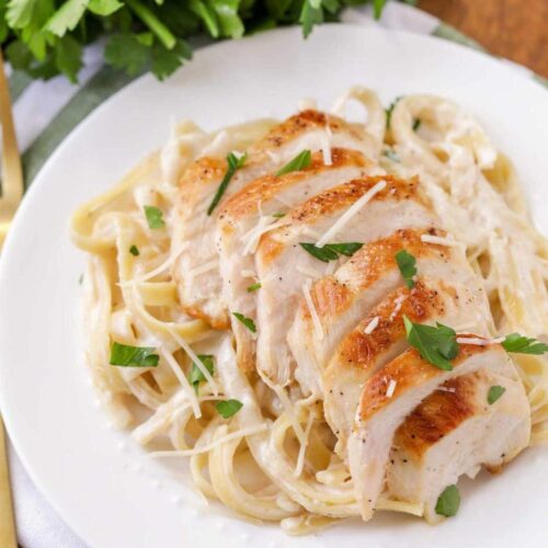 Chicken alfredo parm