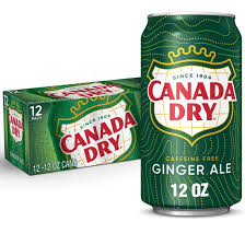 Ginger Ale Can Soda